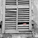001 Fenster_02 als Smart-Objekt-1 Kopie